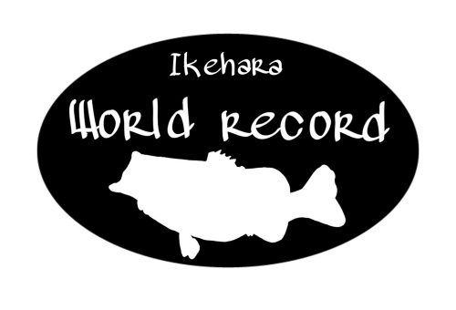 ワールドレコード割引
